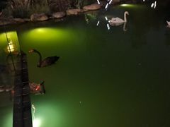 -杭州开元森泊度假乐园