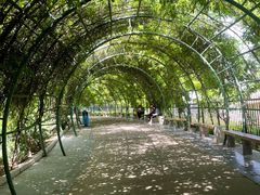 -石家庄市动物园