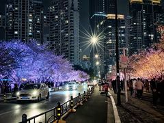 -西北湖绿化广场