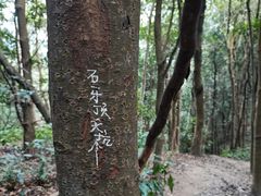 -黄埔油麻山森林公园