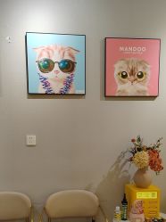 点击看大图 -洗脸猫·洗脸吧