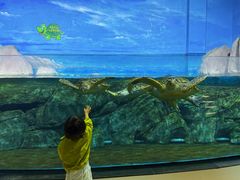 -福州罗源湾海洋世界旅游区
