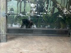 -宁波野生动物园