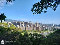 -金鸡山公园