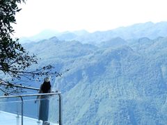 -九皇山景区