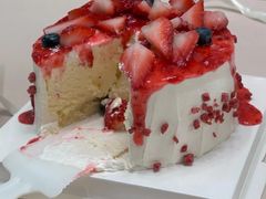 -维尔纳斯·生日蛋糕·动物奶油冰淇淋蛋糕(六里桥店)