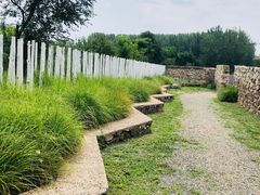 -北京东方普罗旺斯薰衣草庄园
