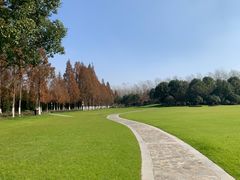 -合肥滨湖国家森林公园