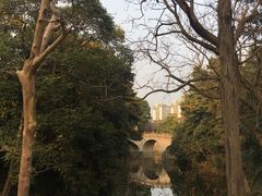 -水绘园