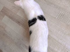 -三仟津花园咖啡馆