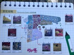 -花开海上生态园