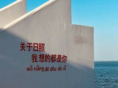 -东夷海鲜巨无霸(东夷小镇店)