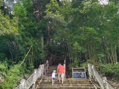 -广州市流溪河国家森林公园