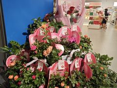 -盒马鲜生(岭南新世界店)