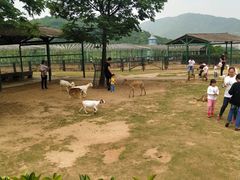 -无锡动物园·太湖欢乐园