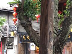 -百饼园(南后街店)