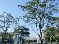 -顺德职业技术大学