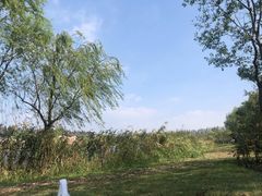 -上海长兴岛郊野公园