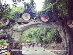-矮寨·十八洞·德夯大峡谷景区