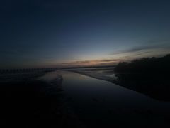 -宝安西湾红树林湿地公园