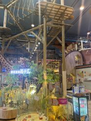 -卡通尼·Safari非洲探索乐园·生日会(金桥国际商业广场店)