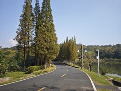 -宜兴龙背山森林公园