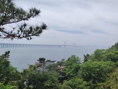 -星海湾跨海大桥