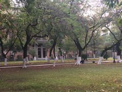-中山大学学者灵芝(园南路店)