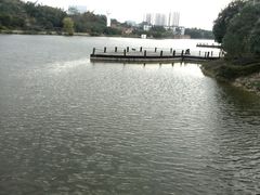 -广西壮族自治区药用植物园