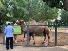 -长白岛森林公园