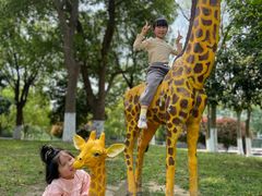-中国扬子鳄村