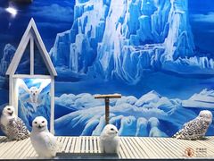 -成都浩海立方海洋公园