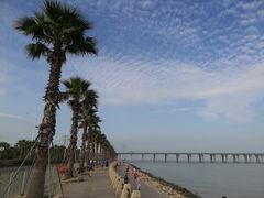 -宝安西湾红树林湿地公园