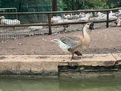 -洛阳市隋唐城遗址植物园