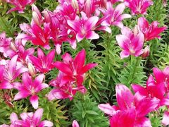 -长春公园(普阳街道)