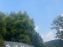 -云溪植物园