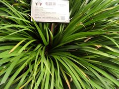 -广州神农草堂中医药博物馆