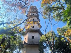 -江心屿景区