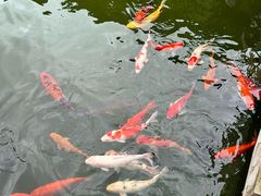 -寻味肇庆·八姑农庄·广府西江菜