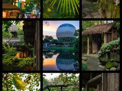 -西溪国家湿地公园