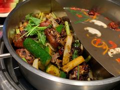 -蓉客成都火锅·招牌麻辣牛杂·特色香辣蹄花(凌水店)