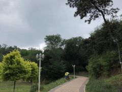 -北京张裕爱斐堡酒庄
