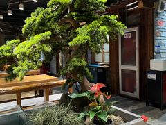 -丹江渔村(首都机场店)