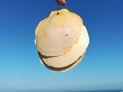 -六鳌翡翠湾滨海度假景区