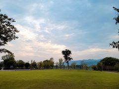 -长田漾湿地公园