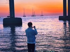 -宝安西湾红树林湿地公园