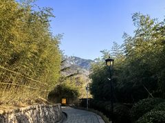 -竹子庵公园