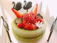 -BLACKSWAN黑天鹅(环球店)