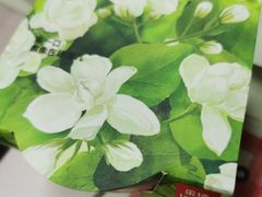 -乐纯(苹果社区店)