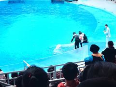 -海合安成都极地海洋公园